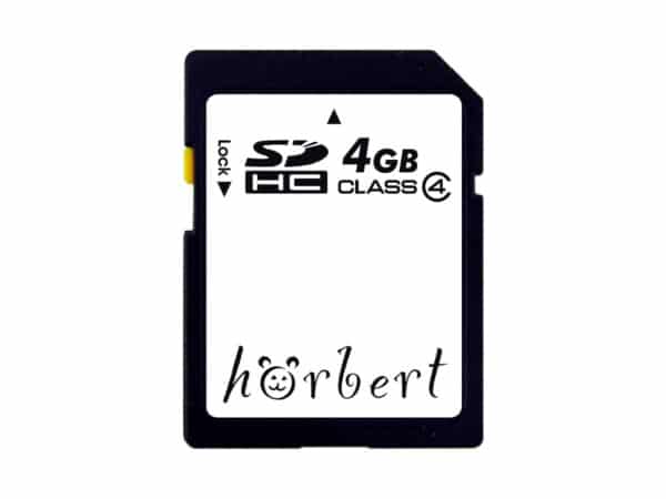 4GB SD Card