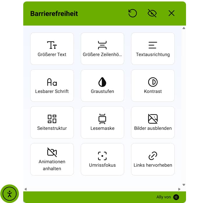 Visualisation of the website customisation panel for people with disabilities.